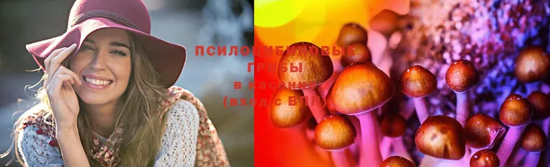 Псилоцибиновые грибы Psilocybine cubensis  цена   Малая Вишера 