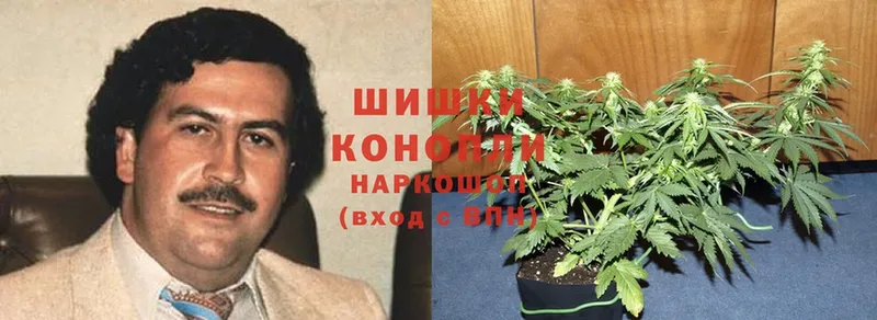 Шишки марихуана Ganja  мориарти наркотические препараты  Малая Вишера 